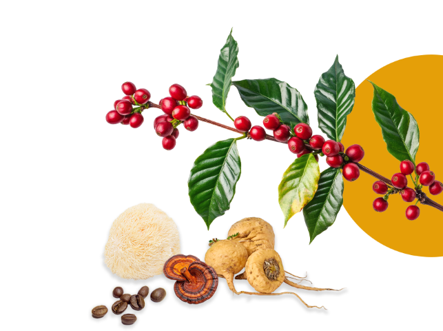 Health Coffee